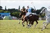 UKPA  NC Sat_1511